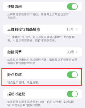 东辽苹果授权维修站分享iPhone轻点无法唤醒怎么办 