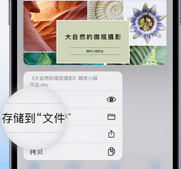 东辽apple维修中心分享iPhone文件应用中存储和找到下载文件