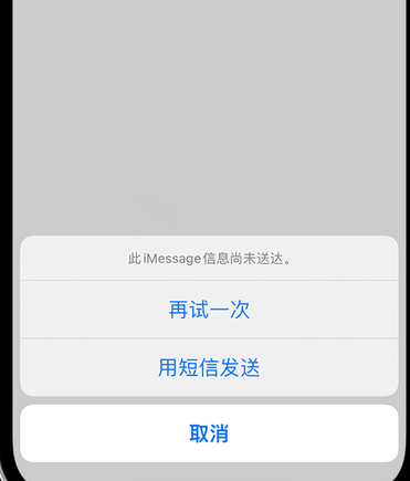 东辽apple维修iPhone上无法正常发送iMessage信息