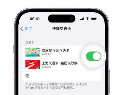 东辽apple维修点分享iPhone上更换Apple Pay快捷交通卡手绘卡面 