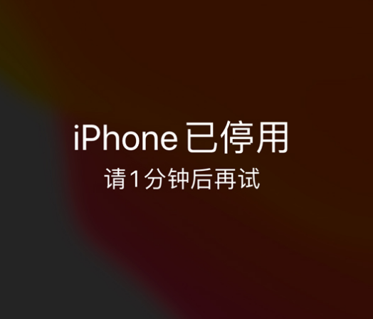 东辽苹果手机维修分享:iPhone 显示“不可用”或“已停用”怎么办？还能保留数据吗？ 