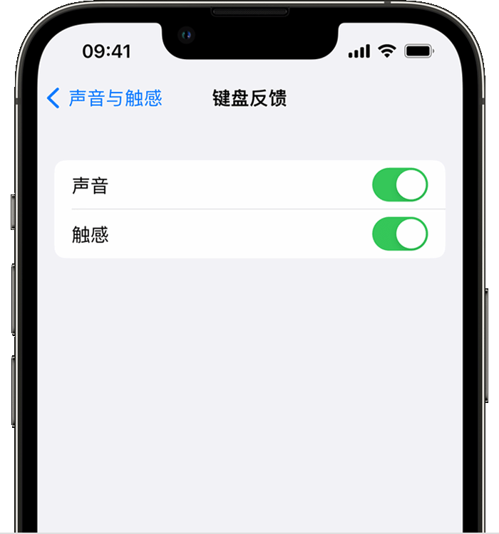 东辽苹果14维修店分享如何在 iPhone 14 机型中使用触感键盘 