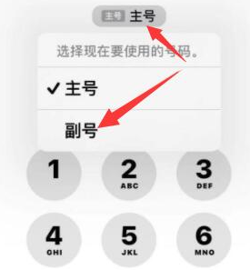 东辽苹果14维修店分享iPhone 14 Pro Max使用副卡打电话的方法 