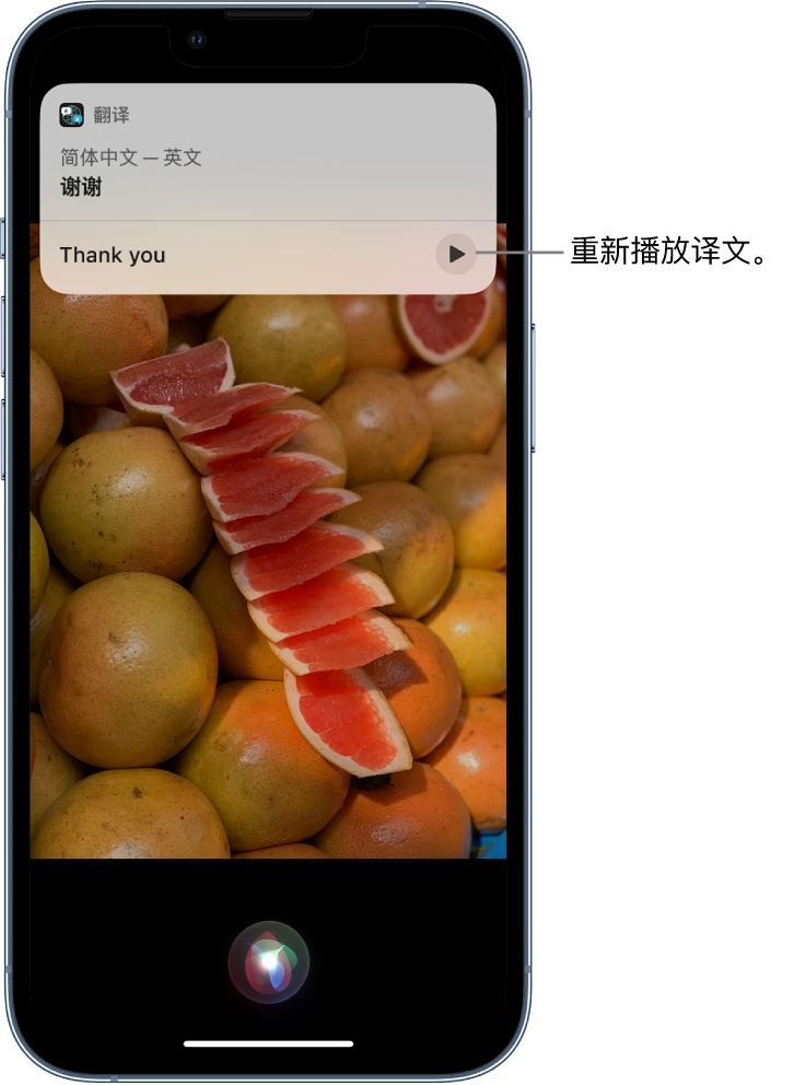 东辽苹果14维修分享 iPhone 14 机型中使用 Siri：了解 Siri 能帮你做什么 