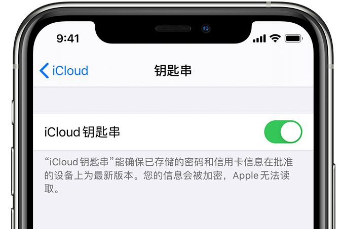 东辽苹果手机维修分享在 iPhone 上开启 iCloud 钥匙串之后会储存哪些信息 