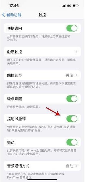 东辽苹果手机维修分享iPhone手机如何设置摇一摇删除文字 